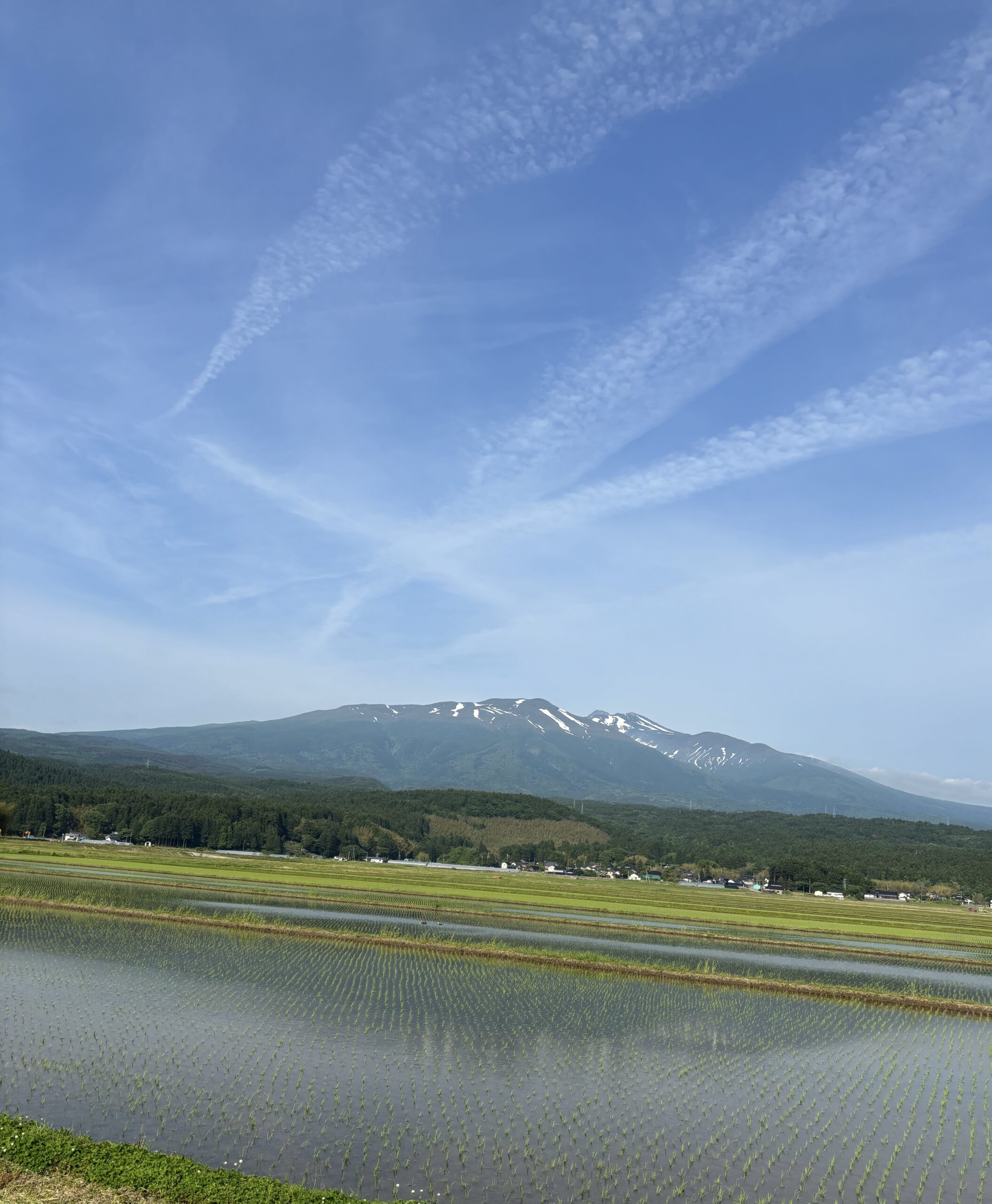 美しい田園風景